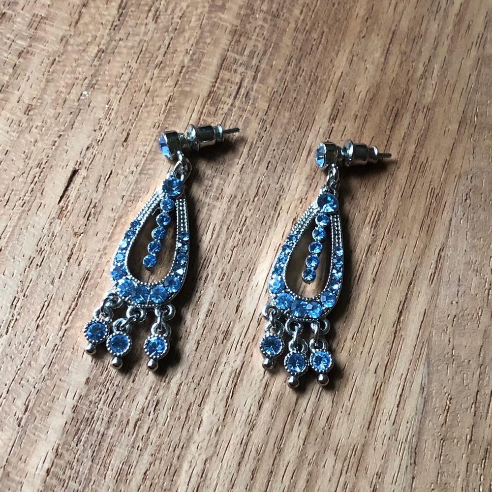 Blue Stone Dangle Earrings